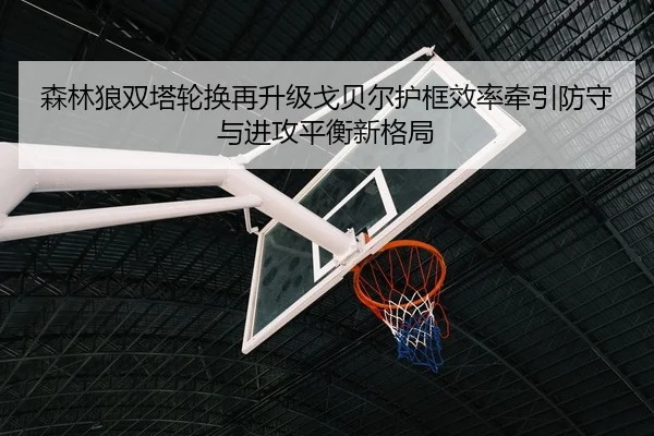森林狼双塔轮换再升级戈贝尔护框效率牵引防守与进攻平衡新格局