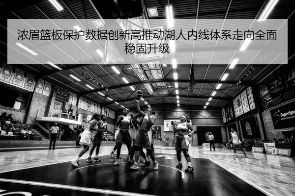 img_1783859947421_434_1_567.jpg
