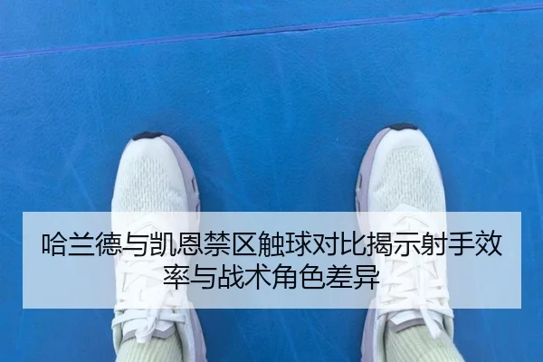 哈兰德与凯恩禁区触球对比揭示射手效率与战术角色差异